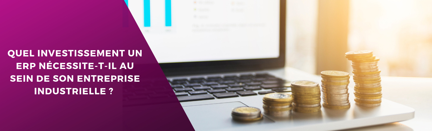 quel investissment erp entreprise industrielle