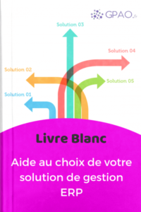 Livre blanc choix ERP