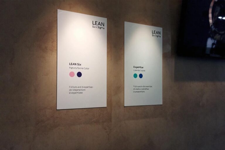 Ceintures LEAN Six Sigma : guide complet blanc, jaune, vert, noir