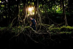 Méthode des 5 pourquoi : analyse des causes racines et résolution