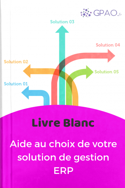 aide au choix ERP aide au choix ERP